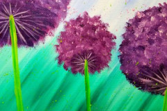 C-Purple Allium