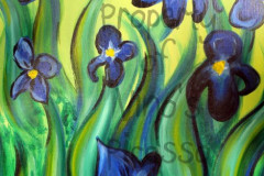 C-Van Gogh Irises