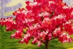 E-Spring Fever
