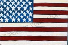 USA Flag