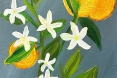 Orange blossom