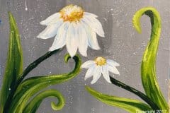 B- White Daisies