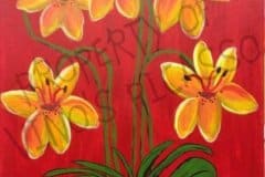 C-Orchid Bloom