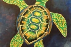 C-Turtle