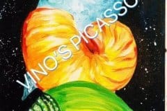 B-Shells galaxy