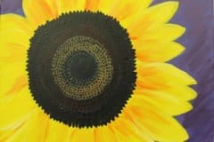 C-Sunflower Face