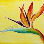 Bird of Paradise