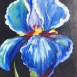 Blue Irise