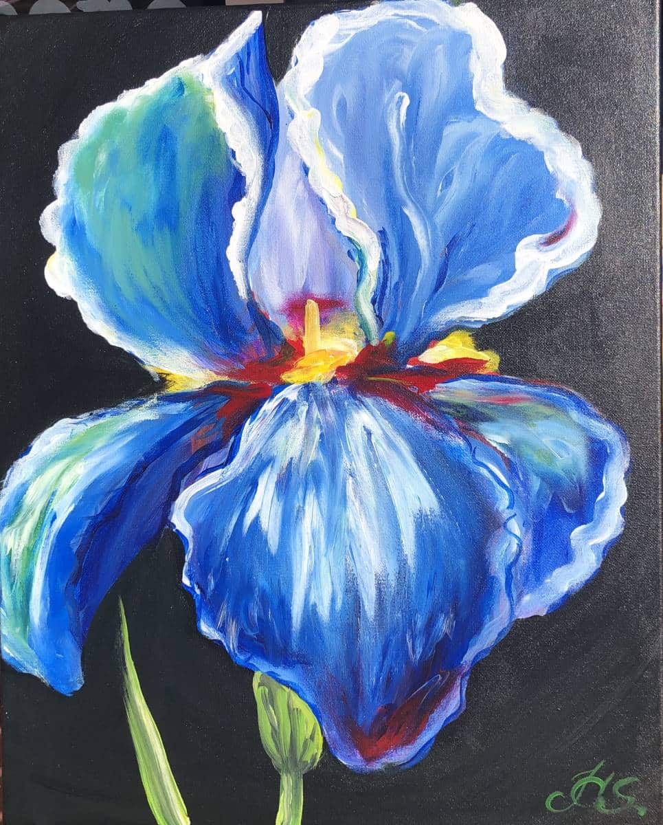 Blue Irise