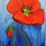 Poppy