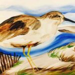 Sandpiper