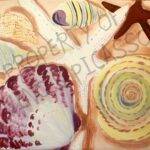 Shells