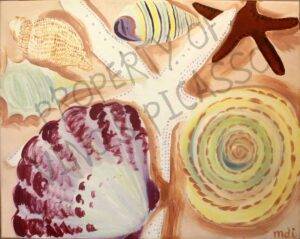 Shells