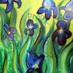 Van Gogh Irises
