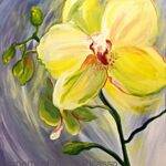 Yellow Orchid
